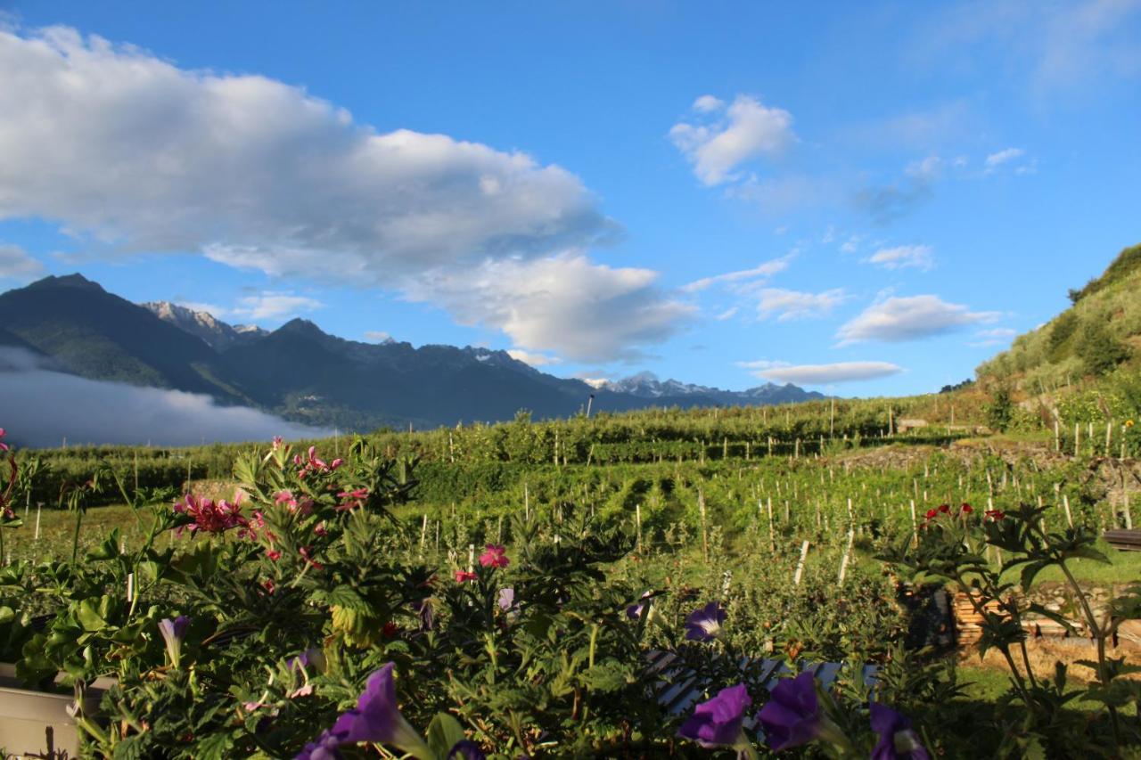 La Vita In Campagna Villa di Tirano Dış mekan fotoğraf