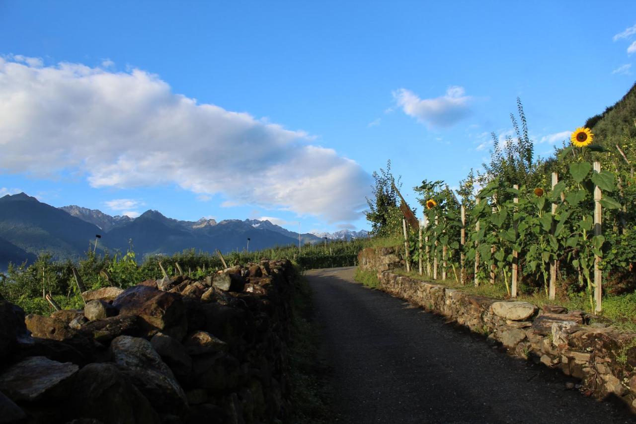 La Vita In Campagna Villa di Tirano Dış mekan fotoğraf