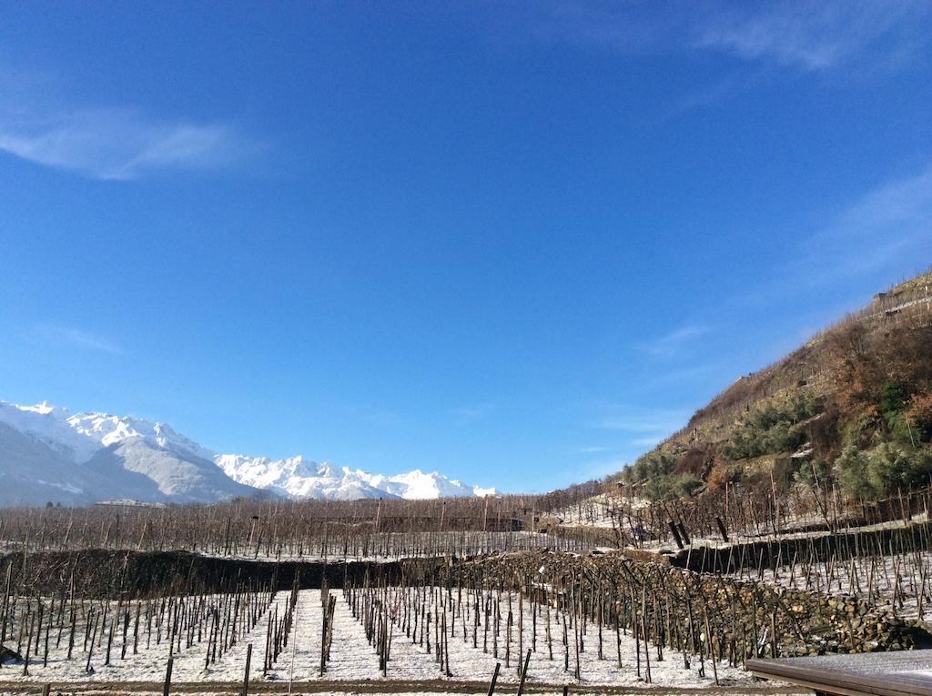 La Vita In Campagna Villa di Tirano Dış mekan fotoğraf