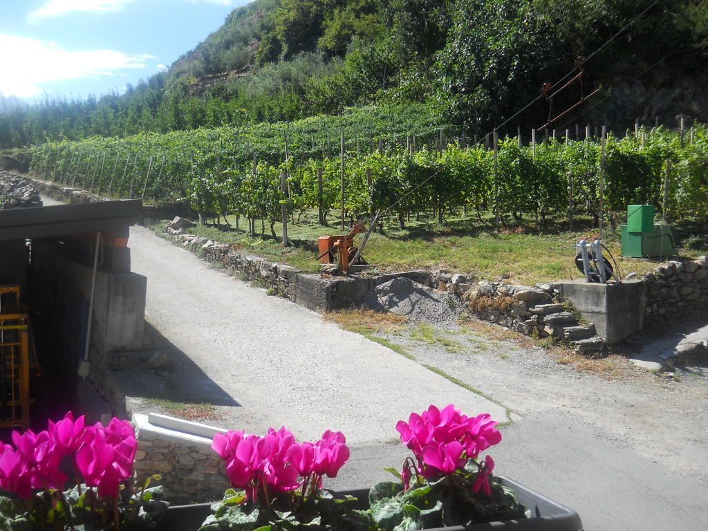 La Vita In Campagna Villa di Tirano Dış mekan fotoğraf