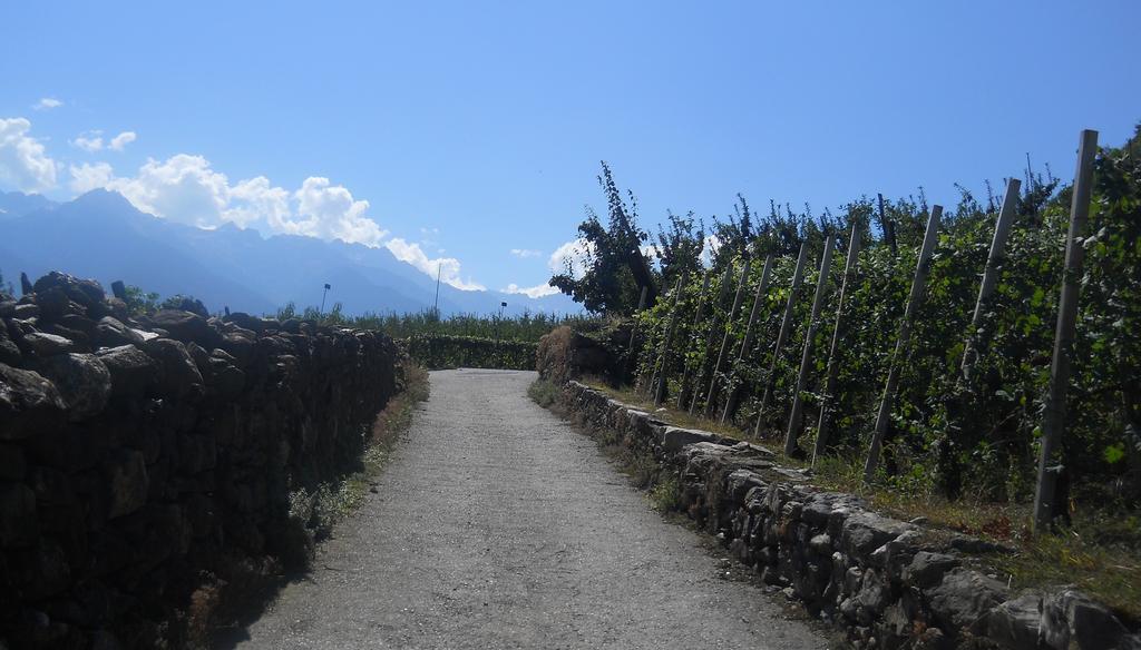 La Vita In Campagna Villa di Tirano Dış mekan fotoğraf